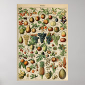 Poster Fruta Adolphe Millot Le Larousse Pour Tous ポスター (正面)