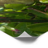 Poster - Good Morning Sunshine - Bird in Bush ポスター (角)