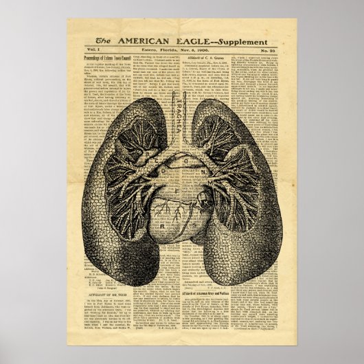 Poster Human Lungs Antique Anatomy on newspaper ポスター (正面)