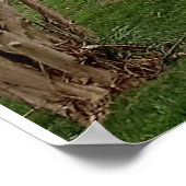 Poster Landscape design  ポスター (角)