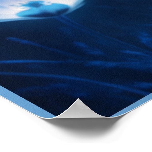 Poster Leopard's bleu ポスター (角)