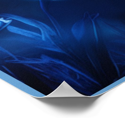 Poster Leopard's bleu 07 ポスター (角)