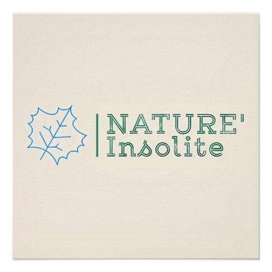 Poster : logo officiel de l'émission ポスター (正面)