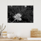 Poster Maria fecha a porta  - danificada ポスター (キッチン)