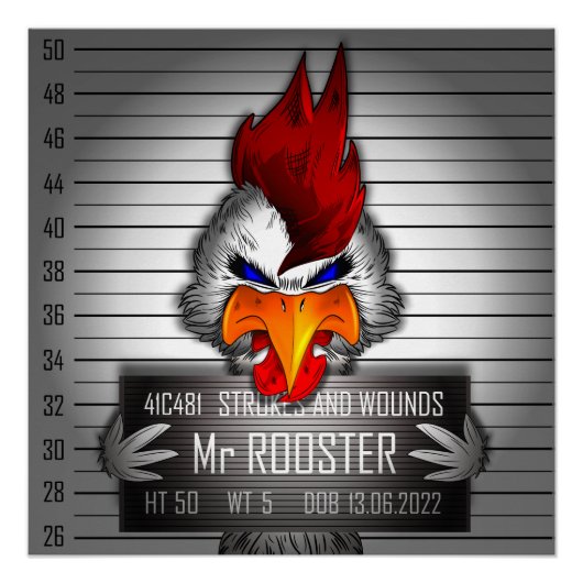 Poster Mr Rooster ポスター (正面)