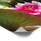 Poster Nénuphar Zen 27.94x21.59cm ポスター (角)