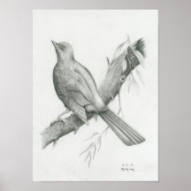 Poster of Cambodian Bird 1 by Vannak Anan Prum