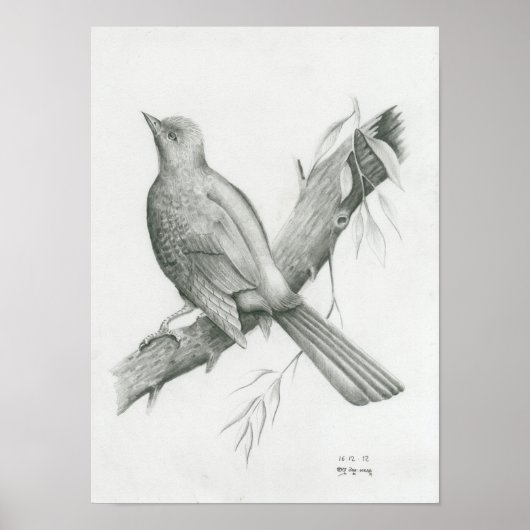Poster of Cambodian Bird 1 by Vannak Anan Prum ポスター (正面)