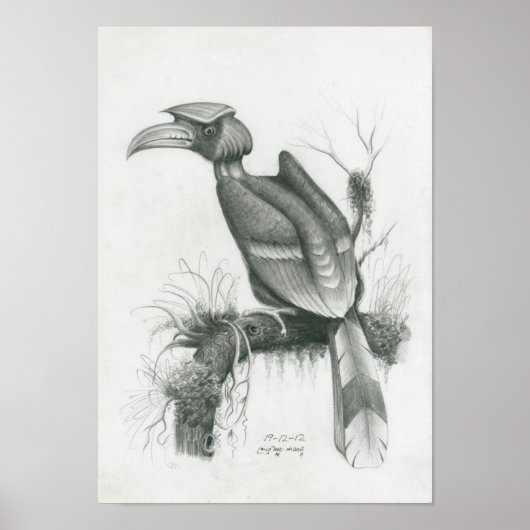 Poster of Cambodian Hornbill Bird by Vannak Prum ポスター (正面)
