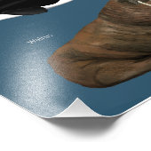 Poster of Marine Mammals / Wildlife フォトプリント (角)