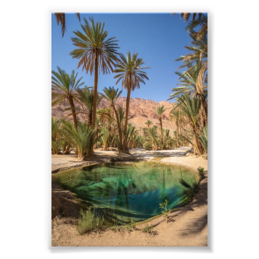 poster of marrakech oasis  フォトプリント            (正面)