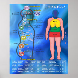 Pôster Os Chakras e suas ligações ポスター