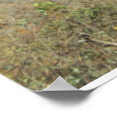 Poster Paisaje Montana Cunen Quiche Guatemala ポスター (角)