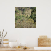 Poster Paisaje Montana Cunen Quiche Guatemala ポスター (キッチン)