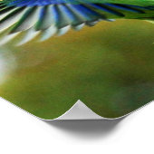 POSTER PERIQUITO TUIM 1 ポスター (角)