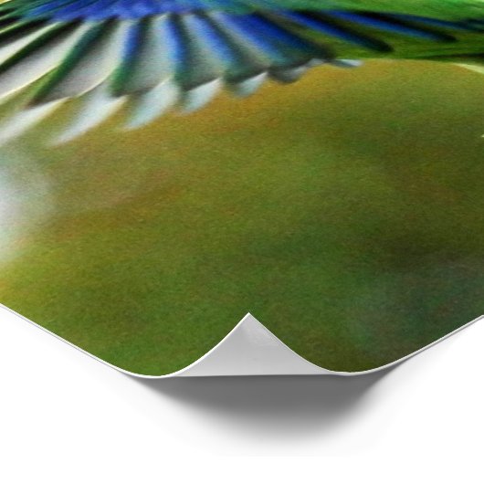 POSTER PERIQUITO TUIM 1 ポスター (角)