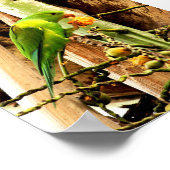 POSTER PERIQUITO VERDE 8 ポスター (角)