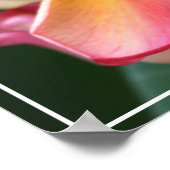 Poster-Plumeria Flowers ポスター (角)