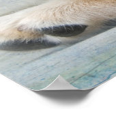 Poster Pup ポスター (角)