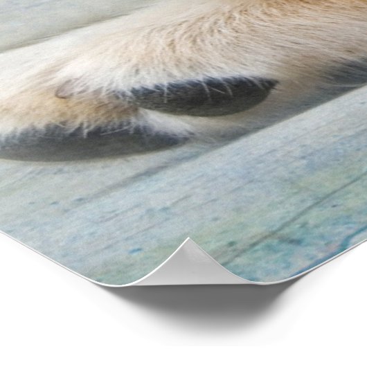 Poster Pup ポスター (角)