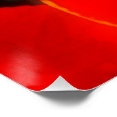 Poster Royal Poinciana ポスター (コーナー)