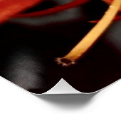 Poster Royal Poinciana ポスター (コーナー)