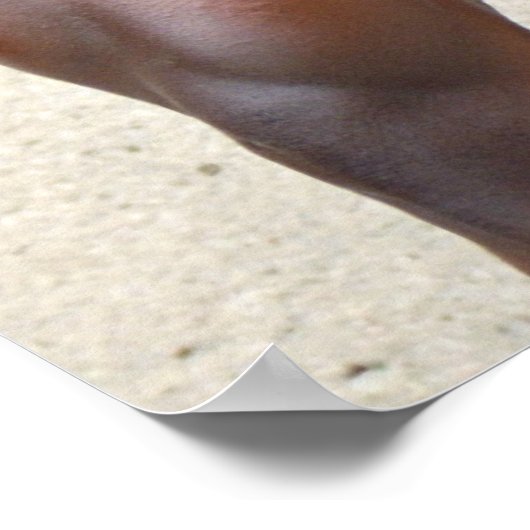 Poster, Sam Addfo, Fingers on Thigs, SAMJ2 ポスター (角)