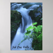 Poster: Sol Duc Falls ポスター (正面)