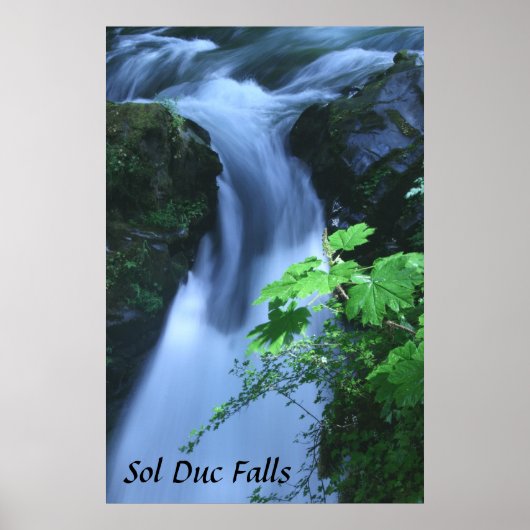Poster: Sol Duc Falls ポスター (正面)