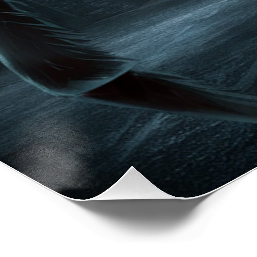 Poster Spider X ポスター (コーナー)