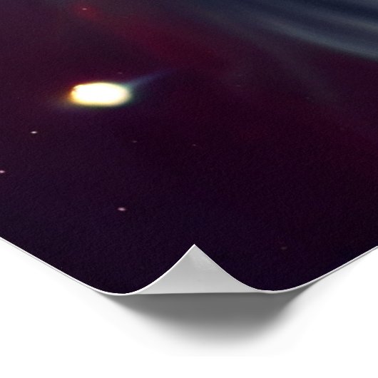 Poster star dog ポスター (角)