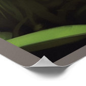 Poster The Clan of Woodland Cats ポスター (角)