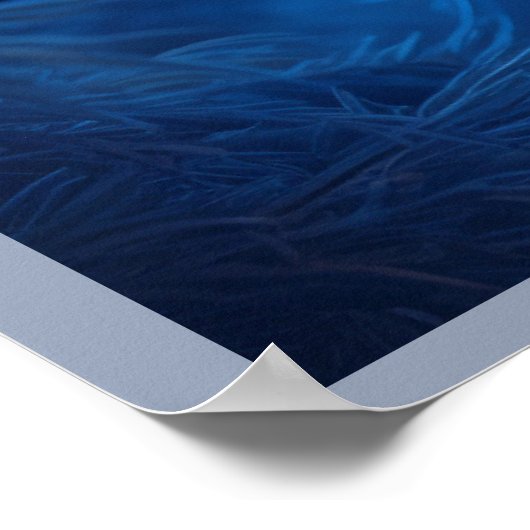 Poster The Secrets of the Fox in the Woods ポスター (角)