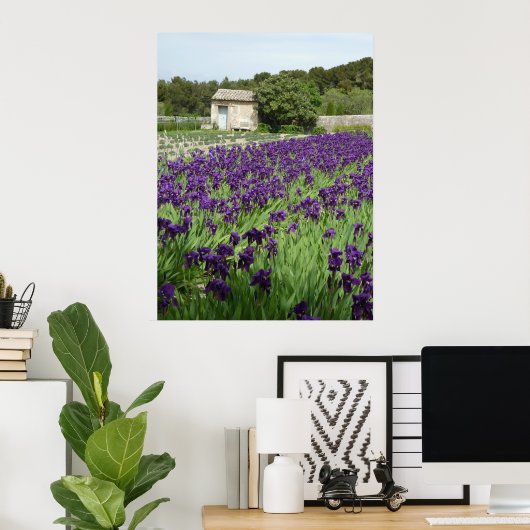 POSTER - Van Iris ポスター (ホームオフィス)