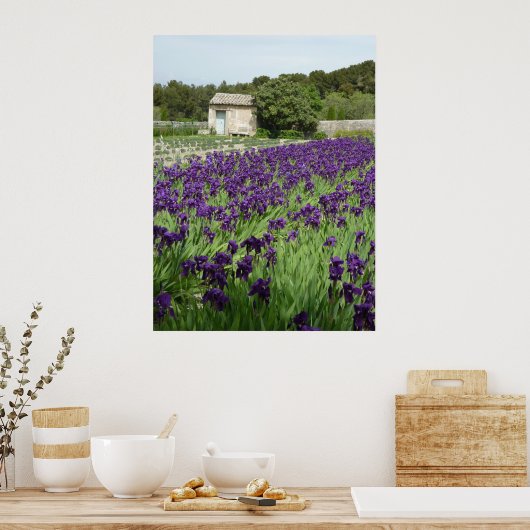 POSTER - Van Iris ポスター (キッチン)