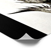 Poster-Vintage Photography-Karl Blossfeldt 39 ポスター (角)