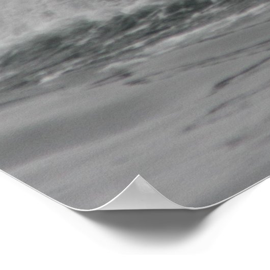 Poster, Whale Fluke, Monterey ポスター (角)