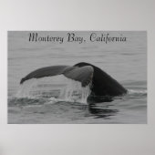 Poster, Whale Fluke, Monterey ポスター (正面)