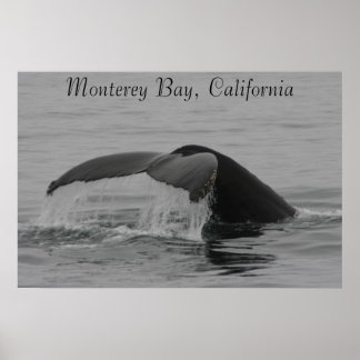 Poster, Whale Fluke, Monterey ポスター