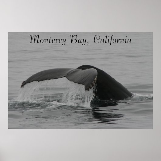 Poster, Whale Fluke, Monterey ポスター (正面)