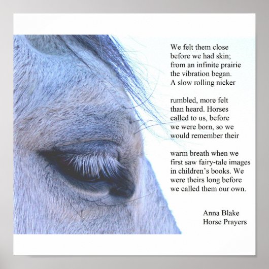 Poster with horse and poem by Anna Blake. ポスター (正面)