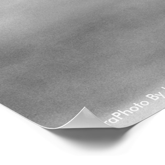 POSTER ZebraPhoto by John A. Sylvester ポスター (角)