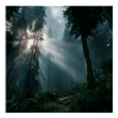 Posters ポスター (正面)