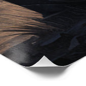 Posters Dives Cat ポスター (コーナー)