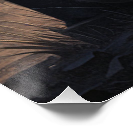 Posters Dives Cat ポスター (コーナー)