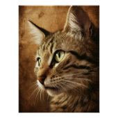 Posters Dives Cat 3 ポスター (正面)