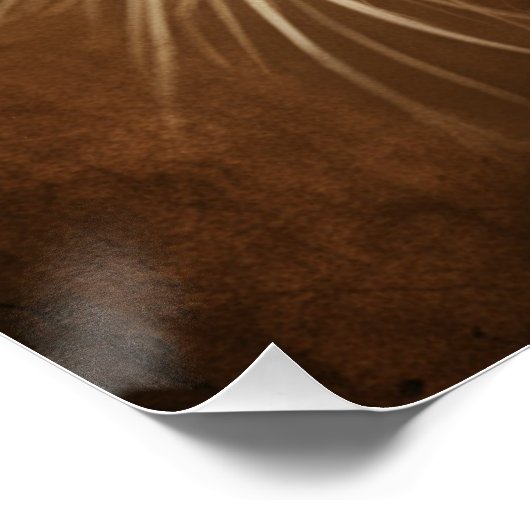 Posters Dives Cat 3 ポスター (コーナー)