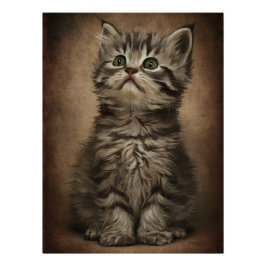 Posters Dives Cat 4 ポスター