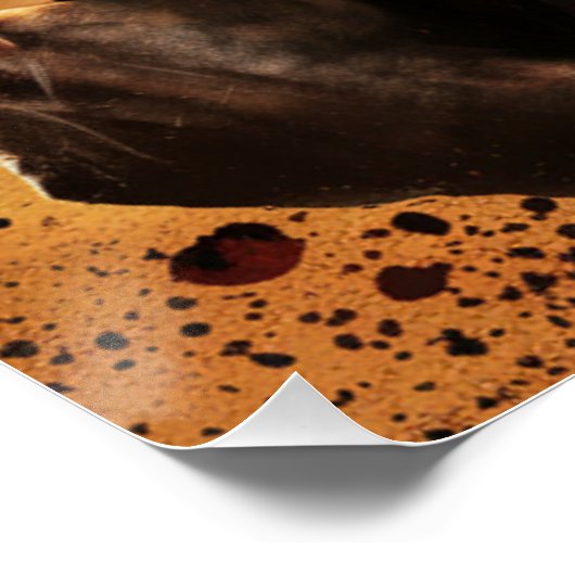 Posters Dread 06 ポスター (コーナー)