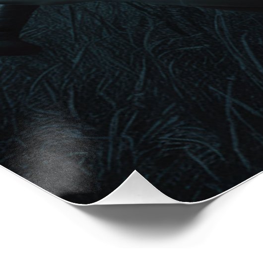 Posters Dreadful ポスター (コーナー)